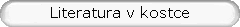 Literatura v kostce